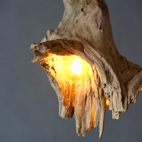 W bulbs Driftwood pendant light