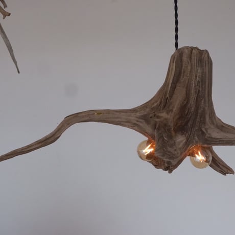2bulb Driftwood longbranch pendant light