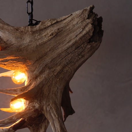 5Bulbs diagonally roots chandelier