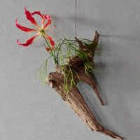 Hanging Flowervase#4