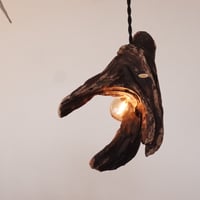 Old driftwood pendant light