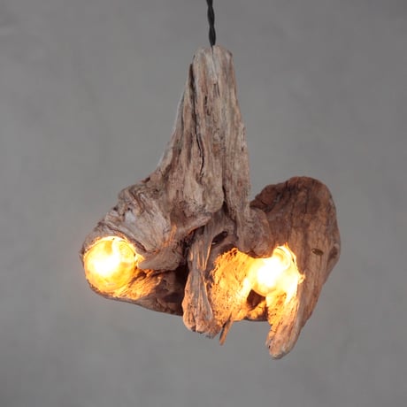 2bulbs driftwood pendant light