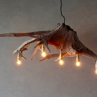 5bulbs Roots chandelier