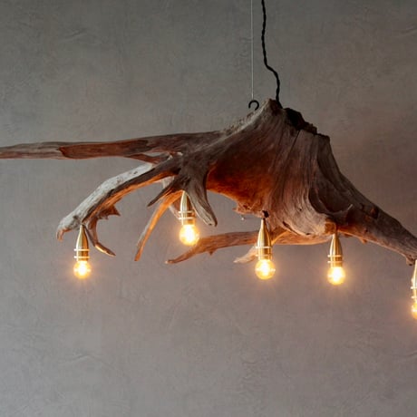 5bulbs Roots chandelier