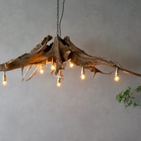 7bulbs DriftwoodRoots chandelier