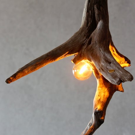 Driftwood branch 2bulbs pendant light