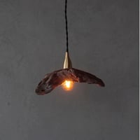 Driftwood shede pendant light