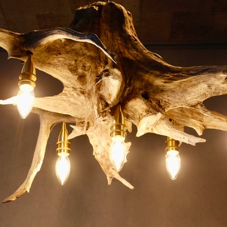 Driftwood Roots 5bulbs chandelier