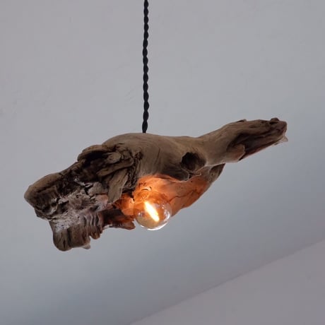 inclination shade pendant light