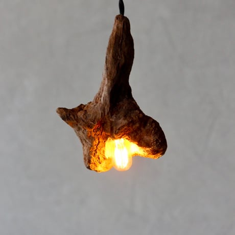Driftwood pendant light