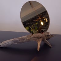 Driftwood mirror#15