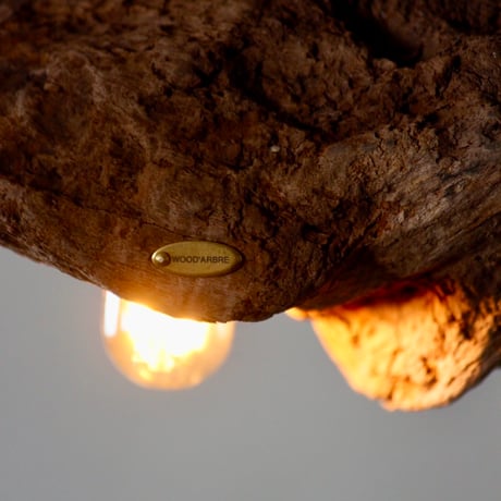 Driftwood pendant light