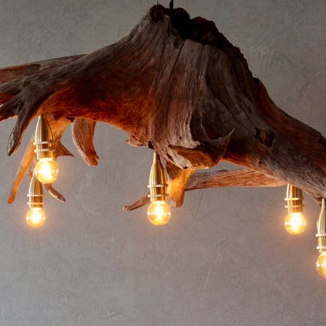 5bulbs Roots chandelier