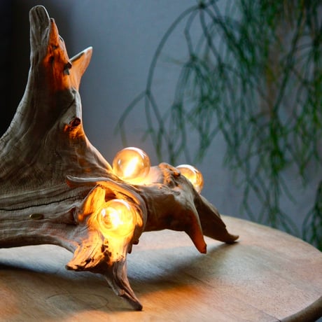 Driftwood table light