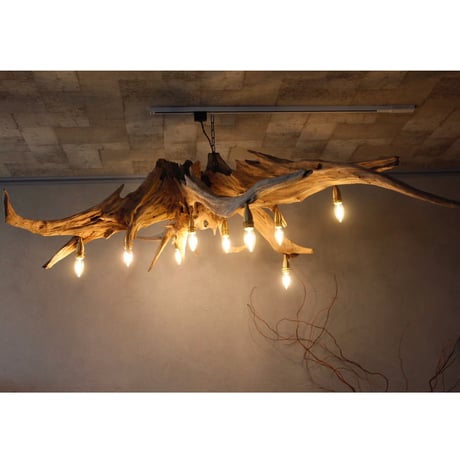 9bulbs Roots Chandelier