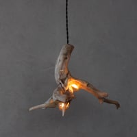 W bulb branch pendant light