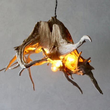 5bulbs Roots pendant light