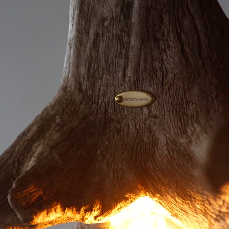 Driftwood branch pendant light