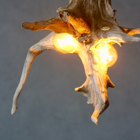 2bulbs Driftwood branch pendant light
