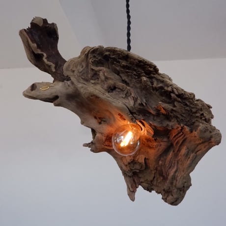 inclination shade pendant light