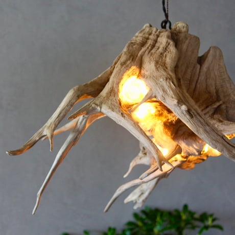 5bulbs Roots pendant light