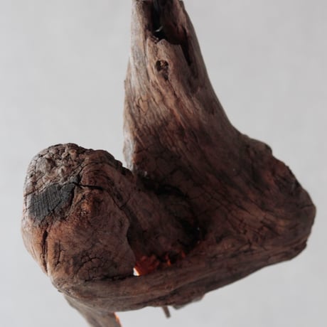 2bulbs driftwood pendant light
