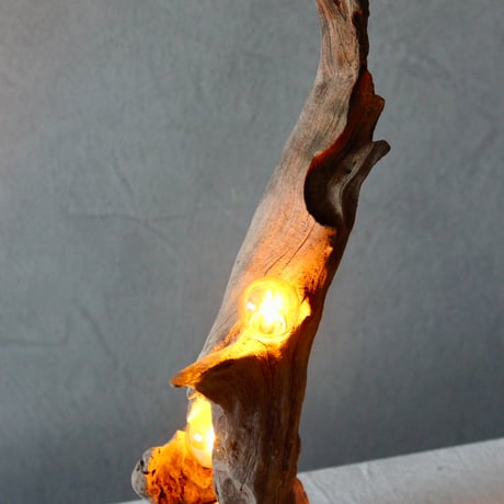 2bulbs Driftwood table light