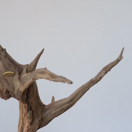 Slim tali driftwood pendant light