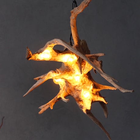 5Bulbs diagonally roots chandelier