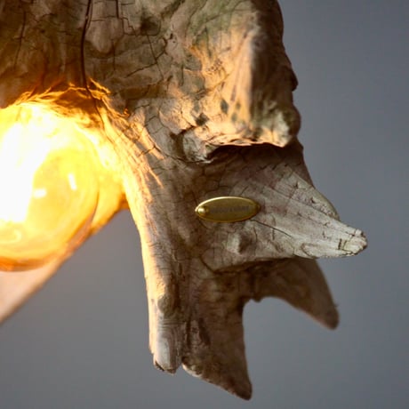 Dry Driftwood pendant light