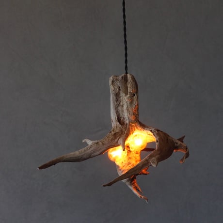 W bulb branch pendant light