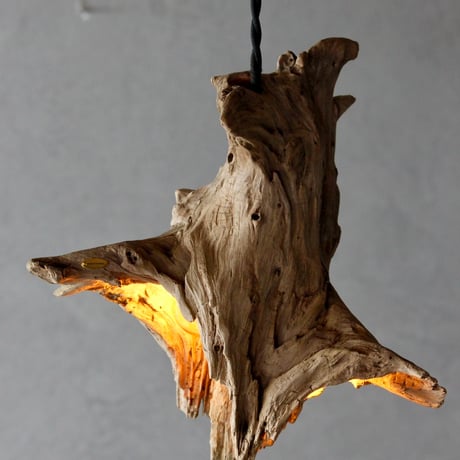 W bulbs Driftwood pendant light