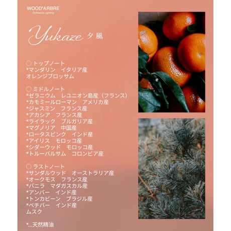 menoo x WOOD'ARBRE フレグランスオイル＆リードディフューザー#B
