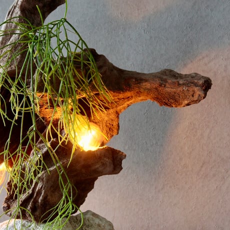 Wbulb table light