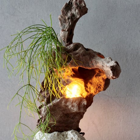 Wbulb table light