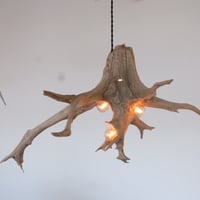 3bulb driftwood roots light