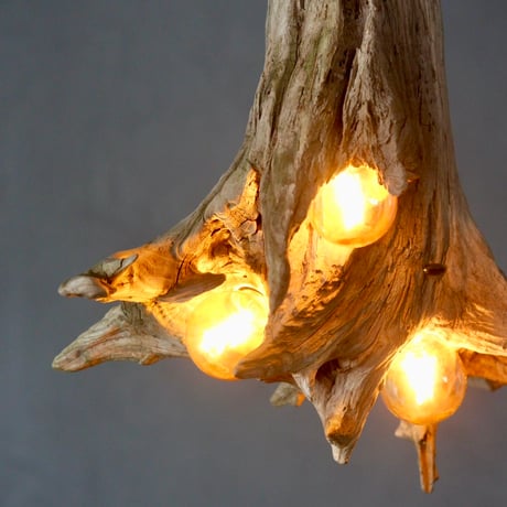 Small roots 3bulbs pendant light