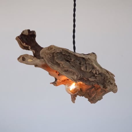 inclination shade pendant light