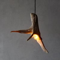 Driftwood branch pendant light