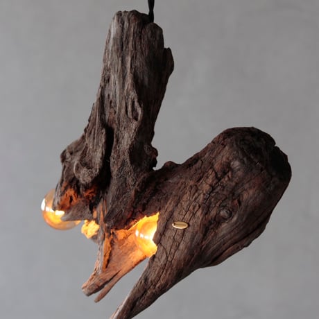 2bulbs driftwood pendant light