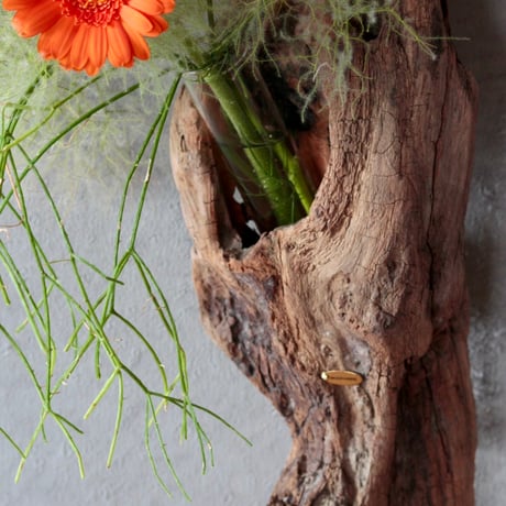 Hanging Flowervase#6