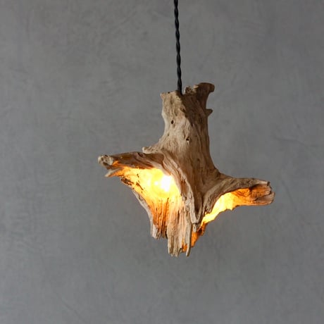 W bulbs Driftwood pendant light