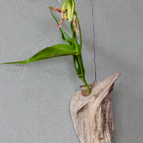 Hanging Flowervase#3