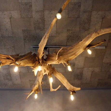 9bulbs Roots Chandelier