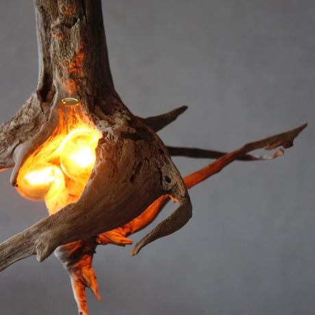 W bulb branch pendant light