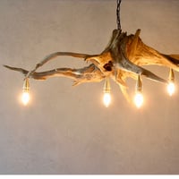 4bulbs Roots Chandelier
