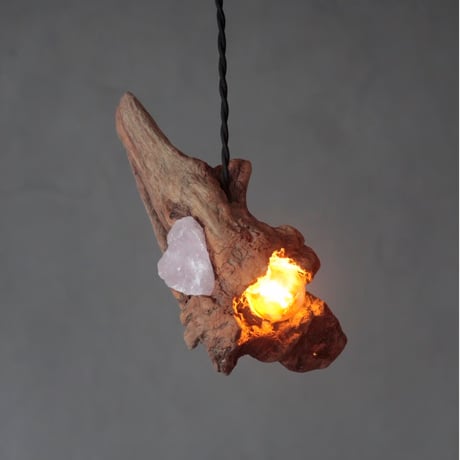 Driftwood crystal pendant light | WOOD'ARBRE