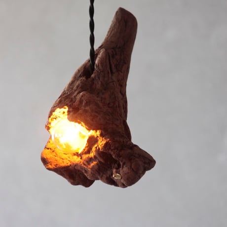 Driftwood crystal pendant light