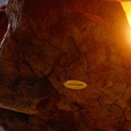 HAYATO OGURA × WOOD'ARBRE table light