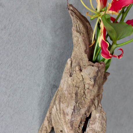 Hanging Flowervase#7